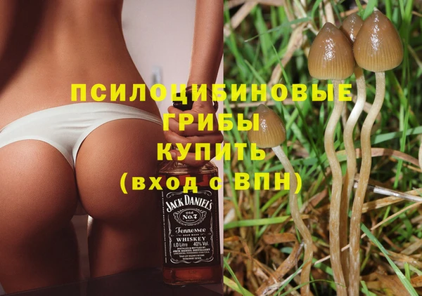 дживик Беломорск