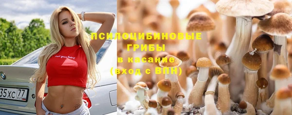 дживик Беломорск