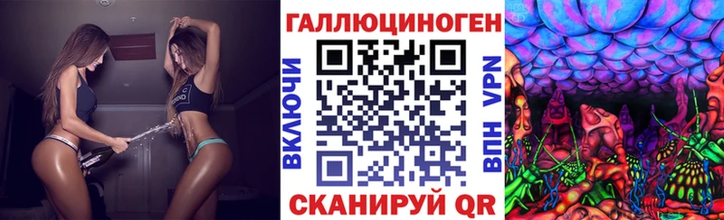 blacksprut маркетплейс  дарнет шоп  Новотитаровская  Псилоцибиновые грибы ЛСД 