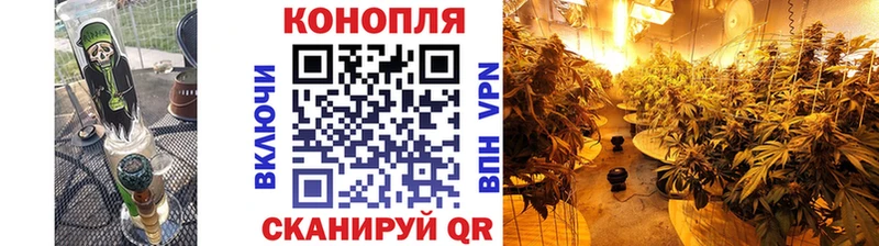 Конопля THC 21%  Новотитаровская 
